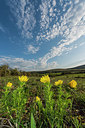 BUITEN BEELD Foto: 321080