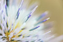 BUITEN BEELD Foto: 321140