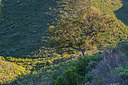 BUITEN BEELD Foto: 321409