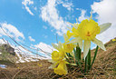 BUITEN BEELD Foto: 321468