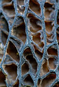 BUITEN BEELD Foto: 321548