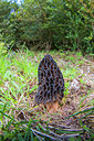 BUITEN BEELD Foto: 321557