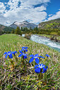 BUITEN BEELD Foto: 321567