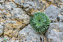 BUITEN BEELD Foto: 321681