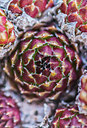 BUITEN BEELD Foto: 321736