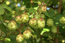 BUITEN BEELD Foto: 321838