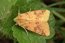 BUITEN BEELD Foto: 321852