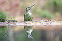 BUITEN BEELD Foto: 321858