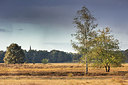 BUITEN BEELD Foto: 321958