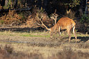 BUITEN BEELD Foto: 321970