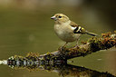 BUITEN BEELD Foto: 321982