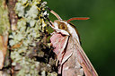 BUITEN BEELD Foto: 321985