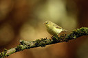 BUITEN BEELD Foto: 322001