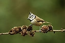 BUITEN BEELD Foto: 322078