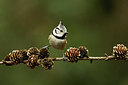 BUITEN BEELD Foto: 322079