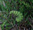 BUITEN BEELD Foto: 322261