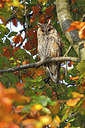 BUITEN BEELD Foto: 322267