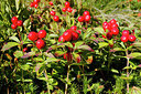BUITEN BEELD Foto: 322280