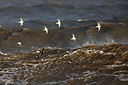 BUITEN BEELD Foto: 322355