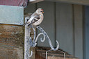 BUITEN BEELD Foto: 322360