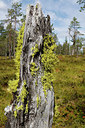 BUITEN BEELD Foto: 322396
