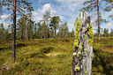 BUITEN BEELD Foto: 322397
