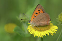 BUITEN BEELD Foto: 322435