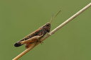 BUITEN BEELD Foto: 322479