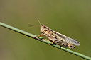 BUITEN BEELD Foto: 322482