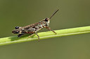 BUITEN BEELD Foto: 322483
