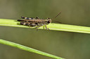 BUITEN BEELD Foto: 322484