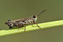 BUITEN BEELD Foto: 322485