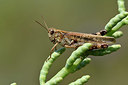 BUITEN BEELD Foto: 322489