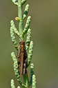 BUITEN BEELD Foto: 322490