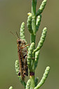 BUITEN BEELD Foto: 322491