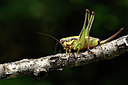BUITEN BEELD Foto: 322493