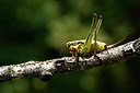 BUITEN BEELD Foto: 322494