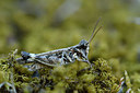 BUITEN BEELD Foto: 322495