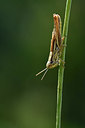 BUITEN BEELD Foto: 322496