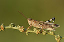 BUITEN BEELD Foto: 322501