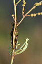 BUITEN BEELD Foto: 322502