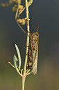BUITEN BEELD Foto: 322503