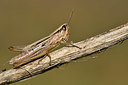 BUITEN BEELD Foto: 322522