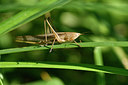 BUITEN BEELD Foto: 322548