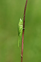 BUITEN BEELD Foto: 322552
