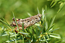 BUITEN BEELD Foto: 322556