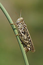 BUITEN BEELD Foto: 322559