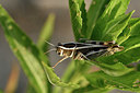 BUITEN BEELD Foto: 322565