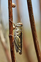 BUITEN BEELD Foto: 322571
