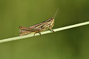 BUITEN BEELD Foto: 322573